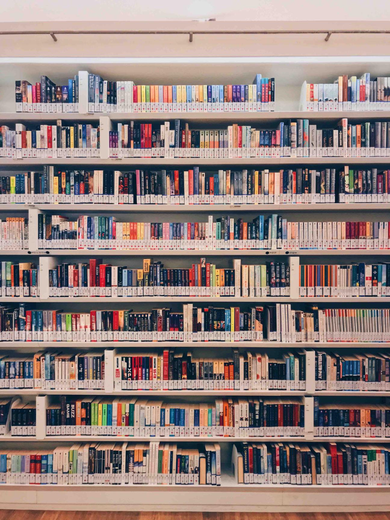 Rows of neatly arranged library books